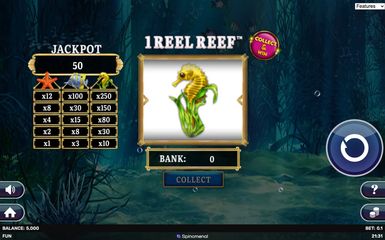 The base game — 1 Reel Reef