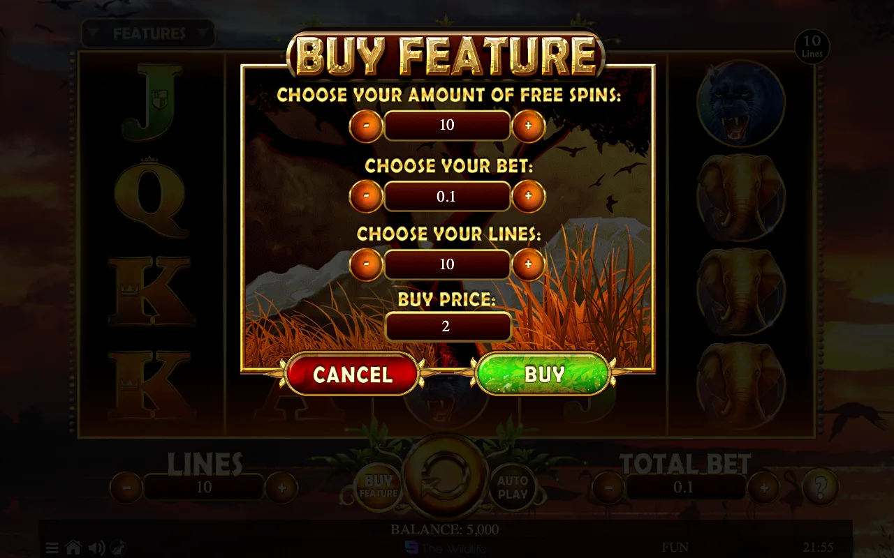 Buying the feature — African Fortune