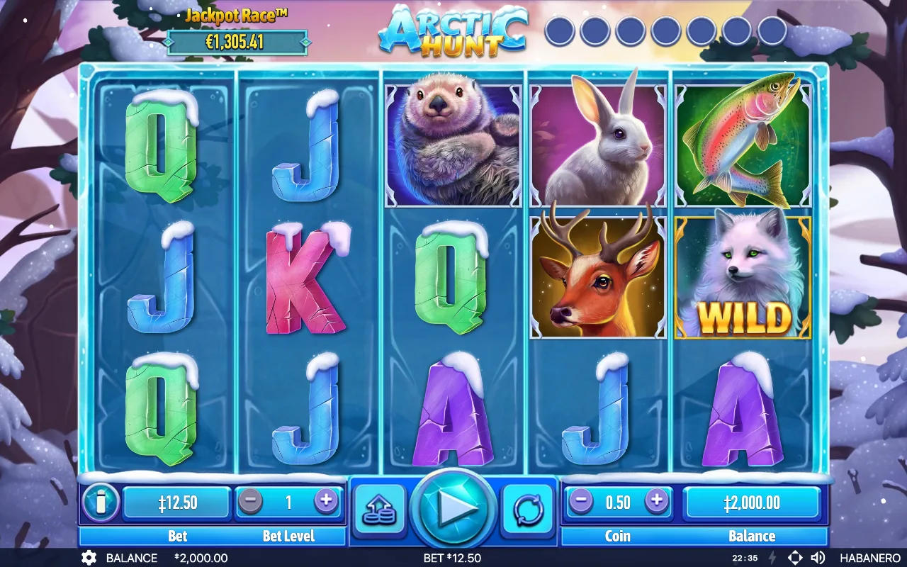 The base game — Arctic Hunt