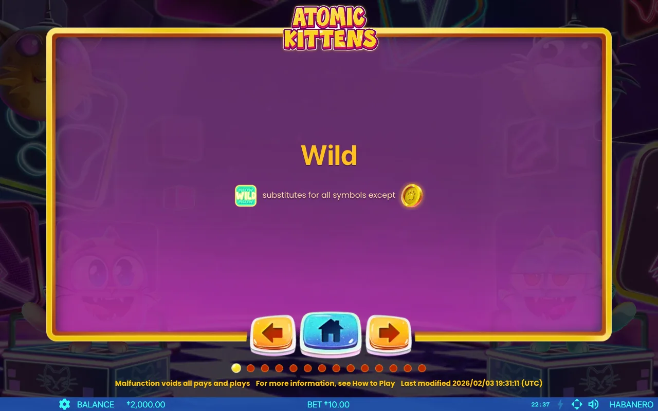 Game rules, page 3 — Atomic Kittens