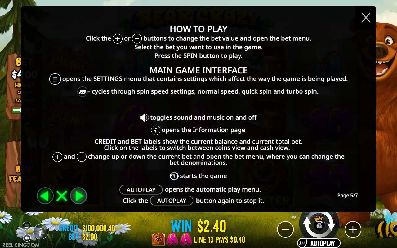 How to play — Bear Crazy