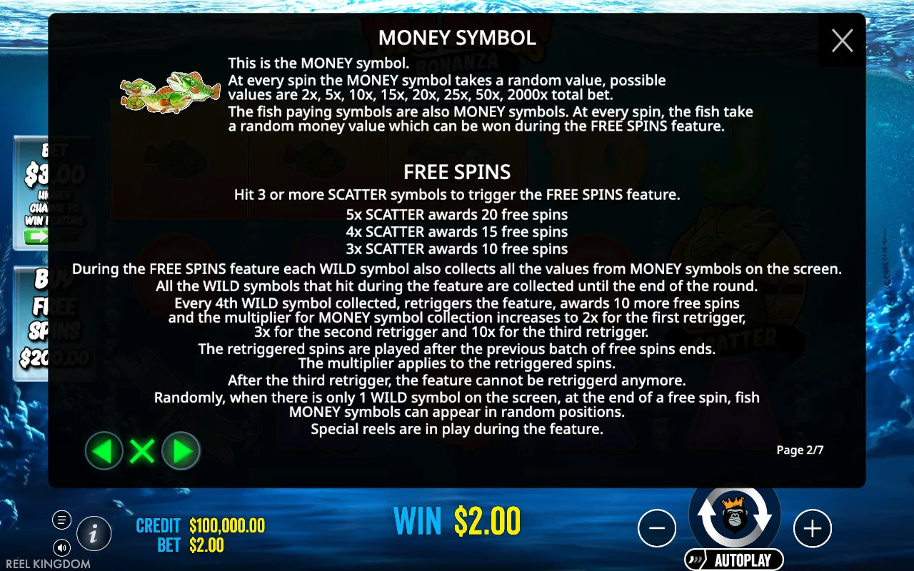 Free spins — Big Bass Bonanza Reel Action