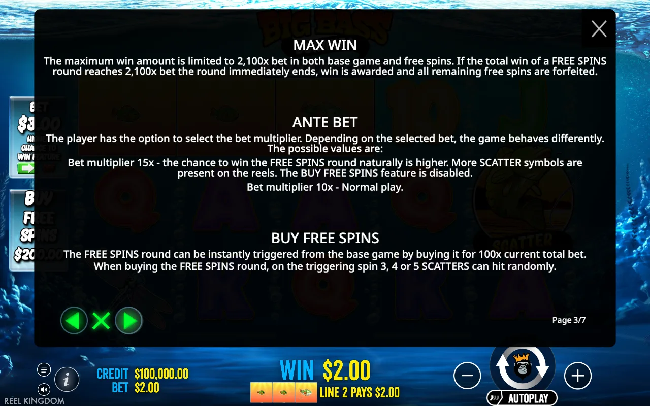 Max win — Big Bass Bonanza Reel Action