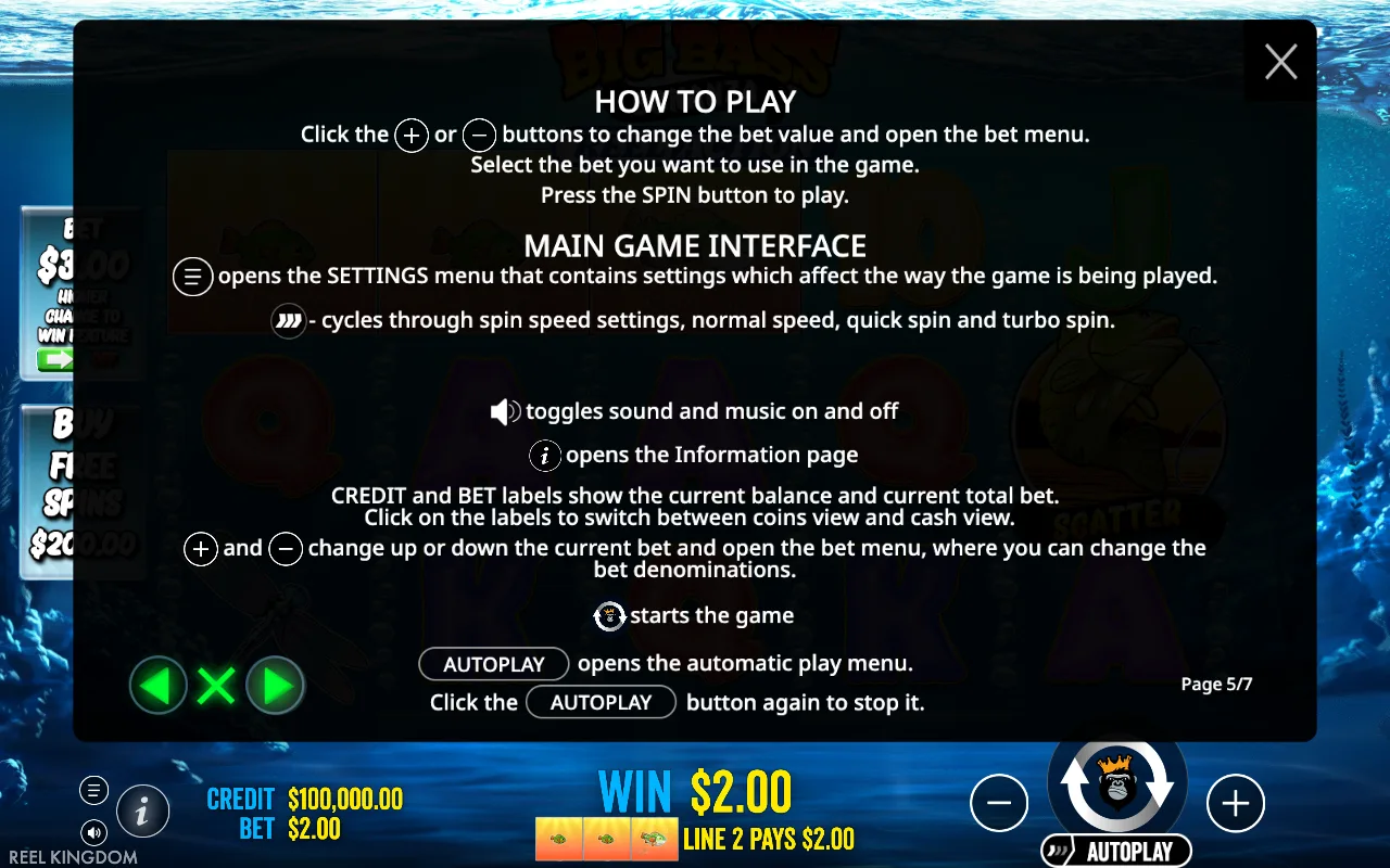 How to play — Big Bass Bonanza Reel Action