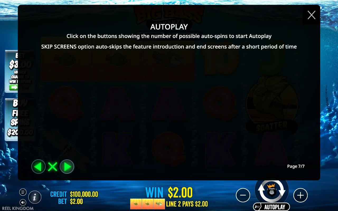 Autoplay — Big Bass Bonanza Reel Action