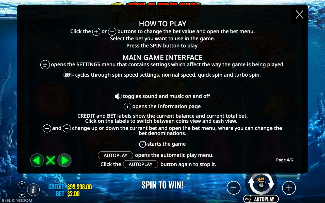 How to play — Big Bass Bonanza