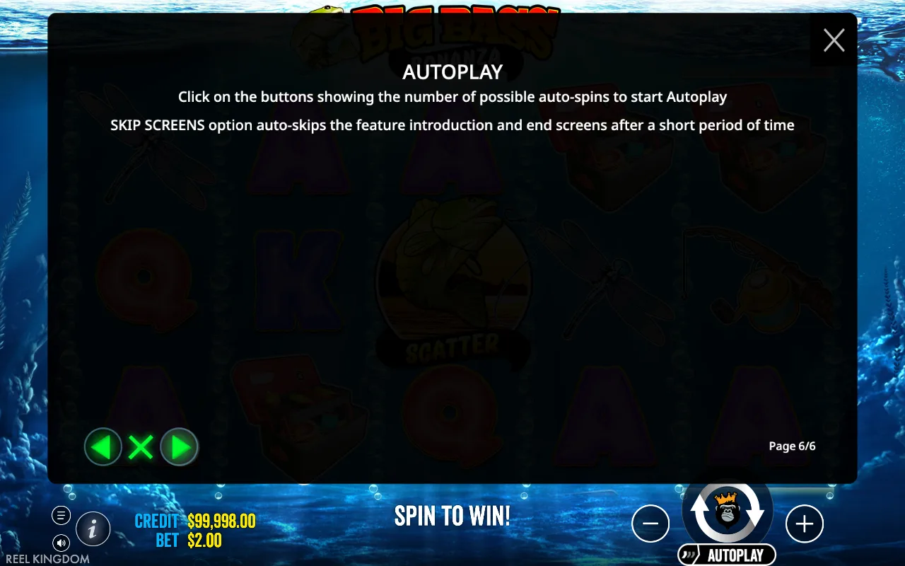 Autoplay — Big Bass Bonanza