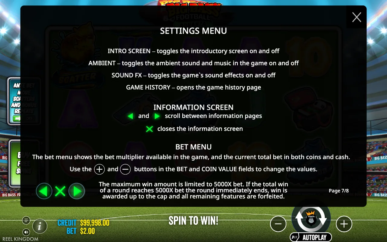 Settings menu — Big Bass Football Bonanza