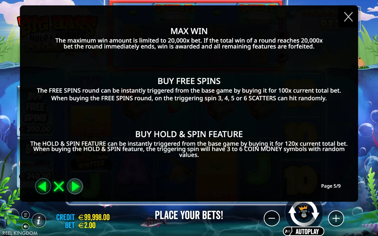 Max win — Big Bass Hold & Spinner Megaways