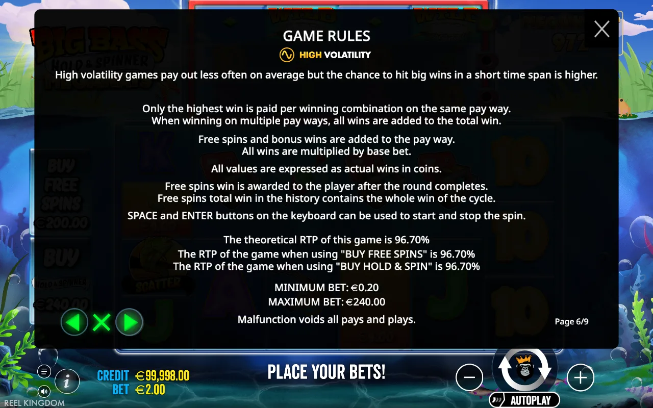 Game rules — Big Bass Hold & Spinner Megaways