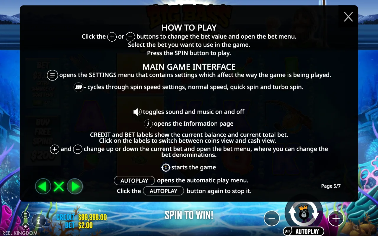 How to play — Big Bass — Keeping it Reel