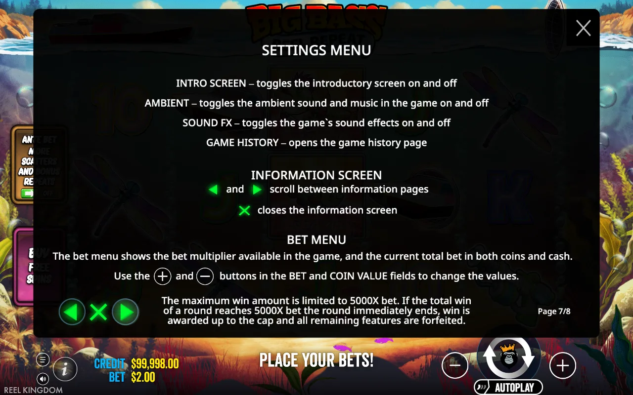 Settings menu — Big Bass Reel Repeat