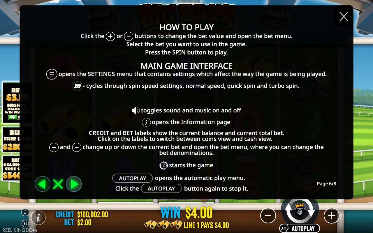 How to play — Big Bass Return to the Races
