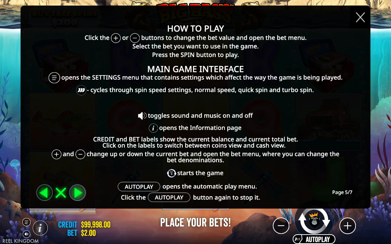 How to play — Big Bass Splash