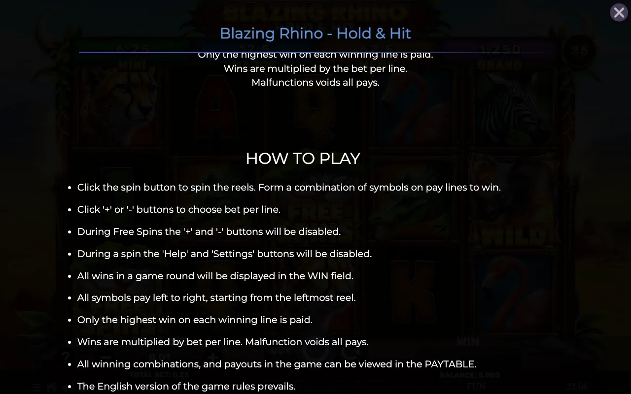 How to play — Blazing Rhino Hold Hit