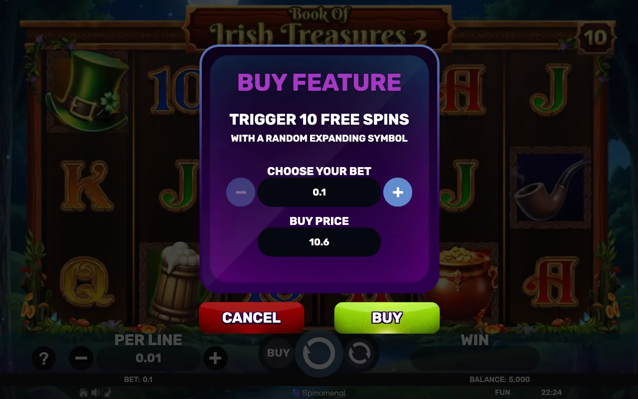 Buying the feature — Book of Irish Treasures 2