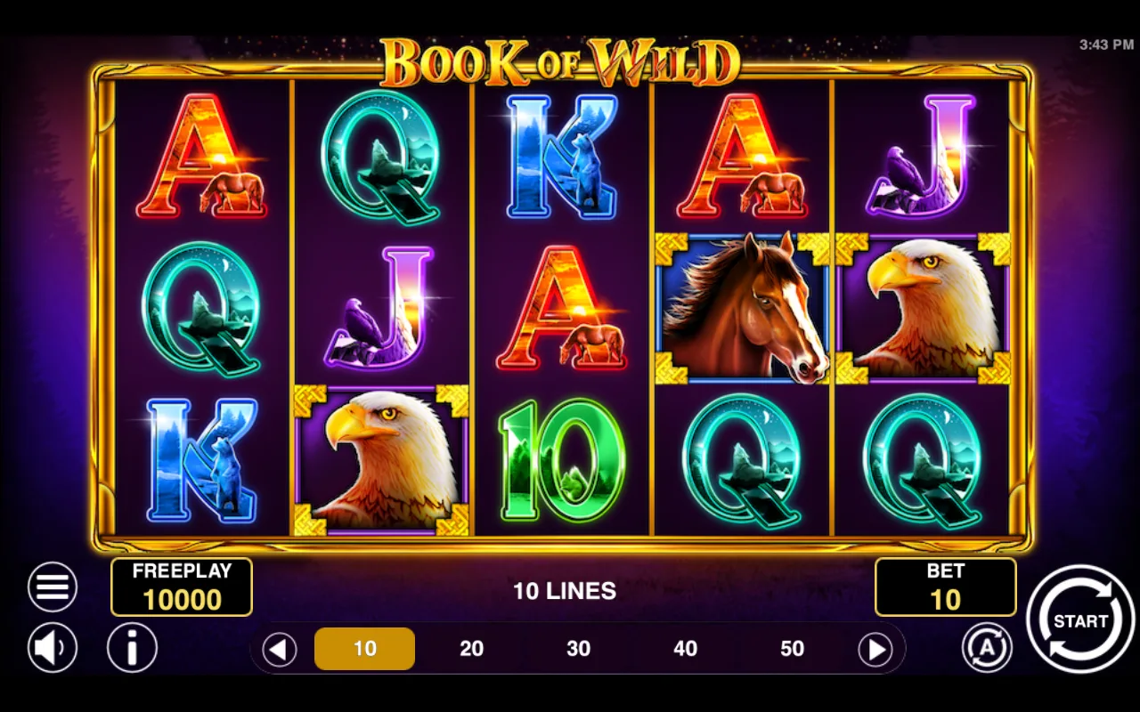 The base game — Book of Wild