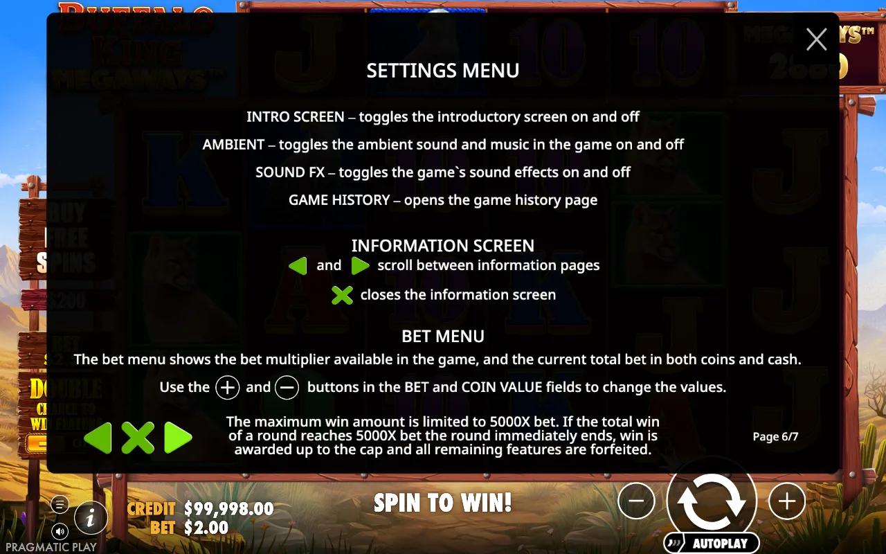 Settings menu — Buffalo King Megaways