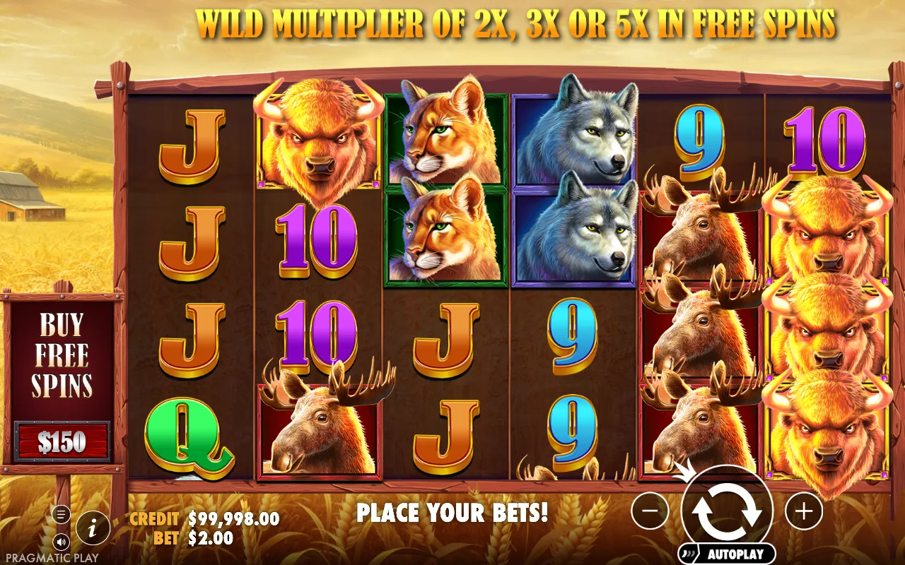 The base game — Buffalo King