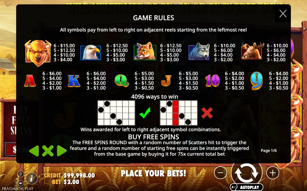 Game rules — Buffalo King