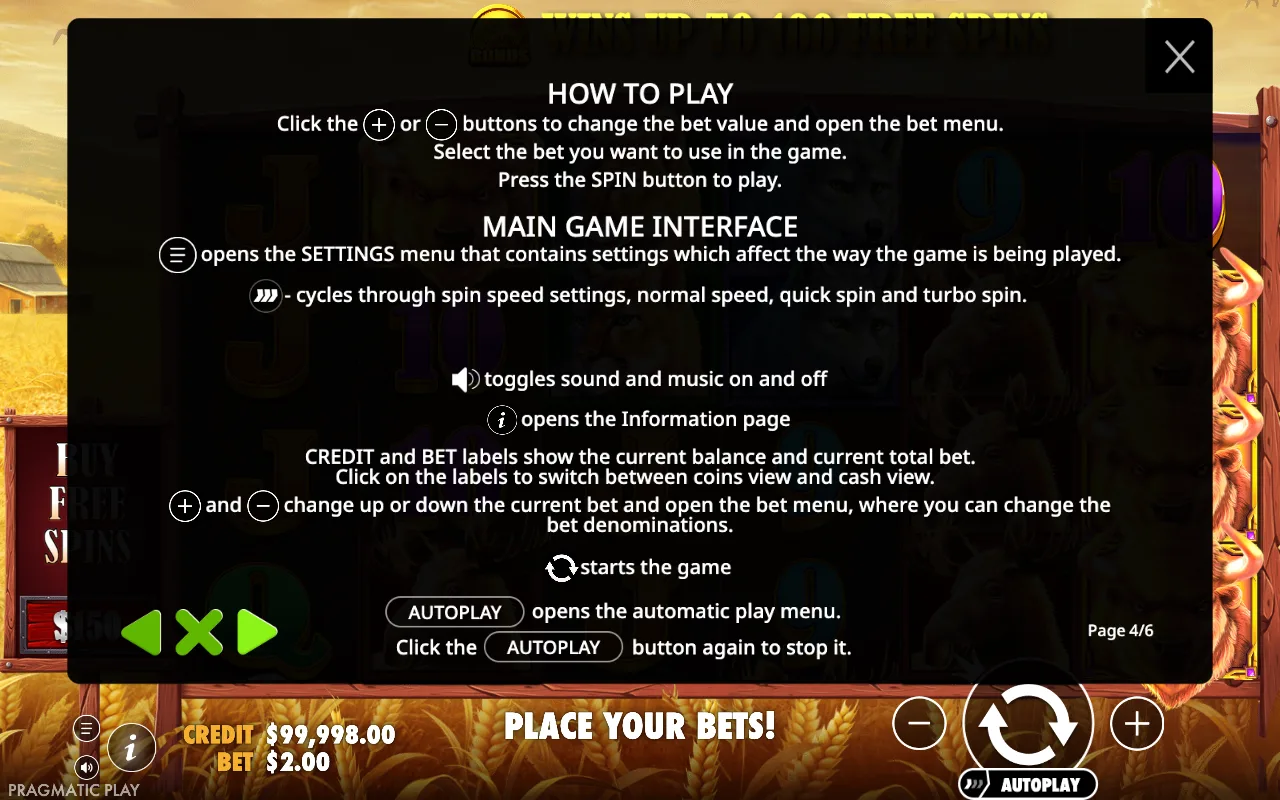 How to play — Buffalo King