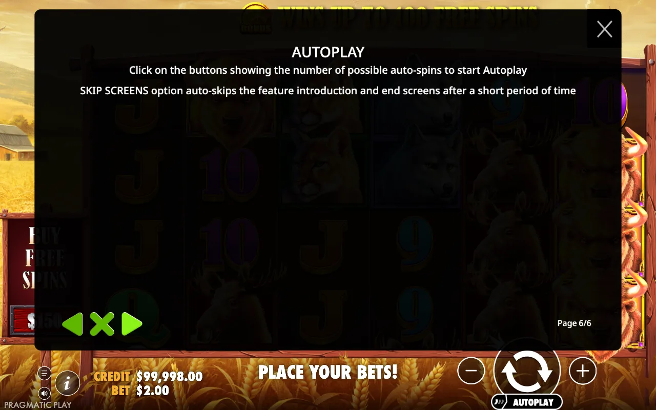Autoplay — Buffalo King