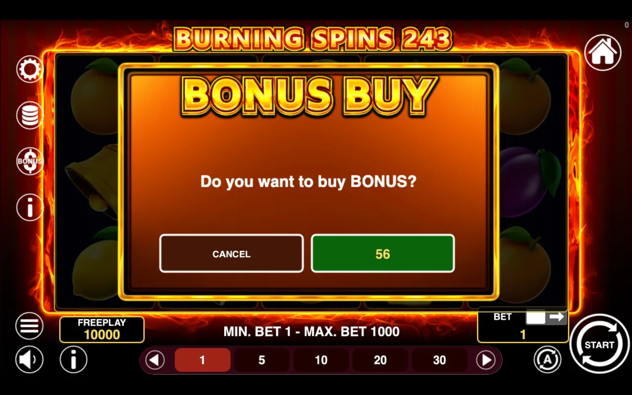 Buying the feature — Burning Spins 243