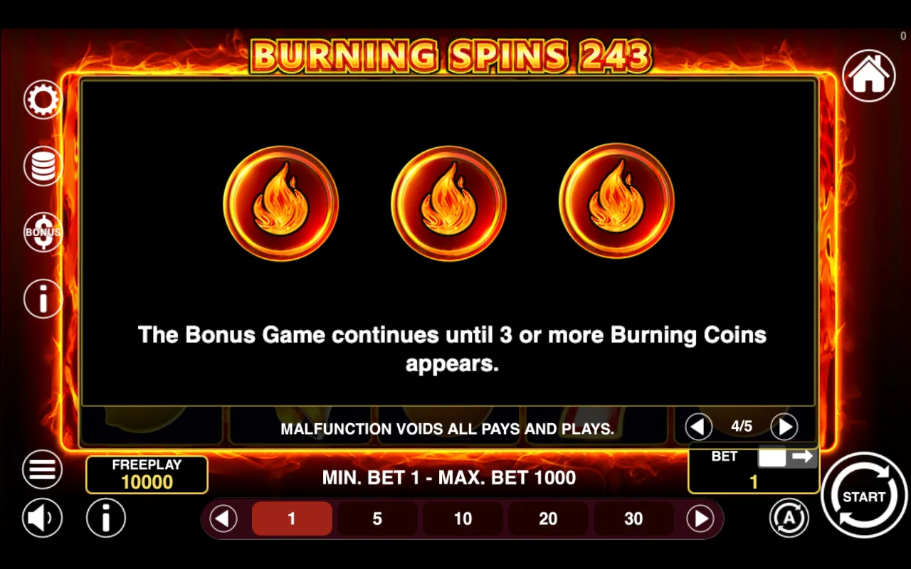 Game rules, page 4 — Burning Spins 243
