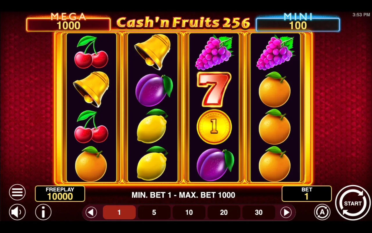 The base game — Cashn Fruits 256 Hold And Win