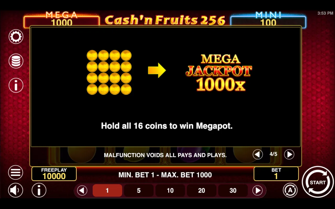 Game rules, page 4 — Cashn Fruits 256 Hold And Win