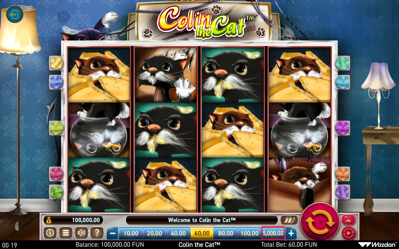Colin The Cat