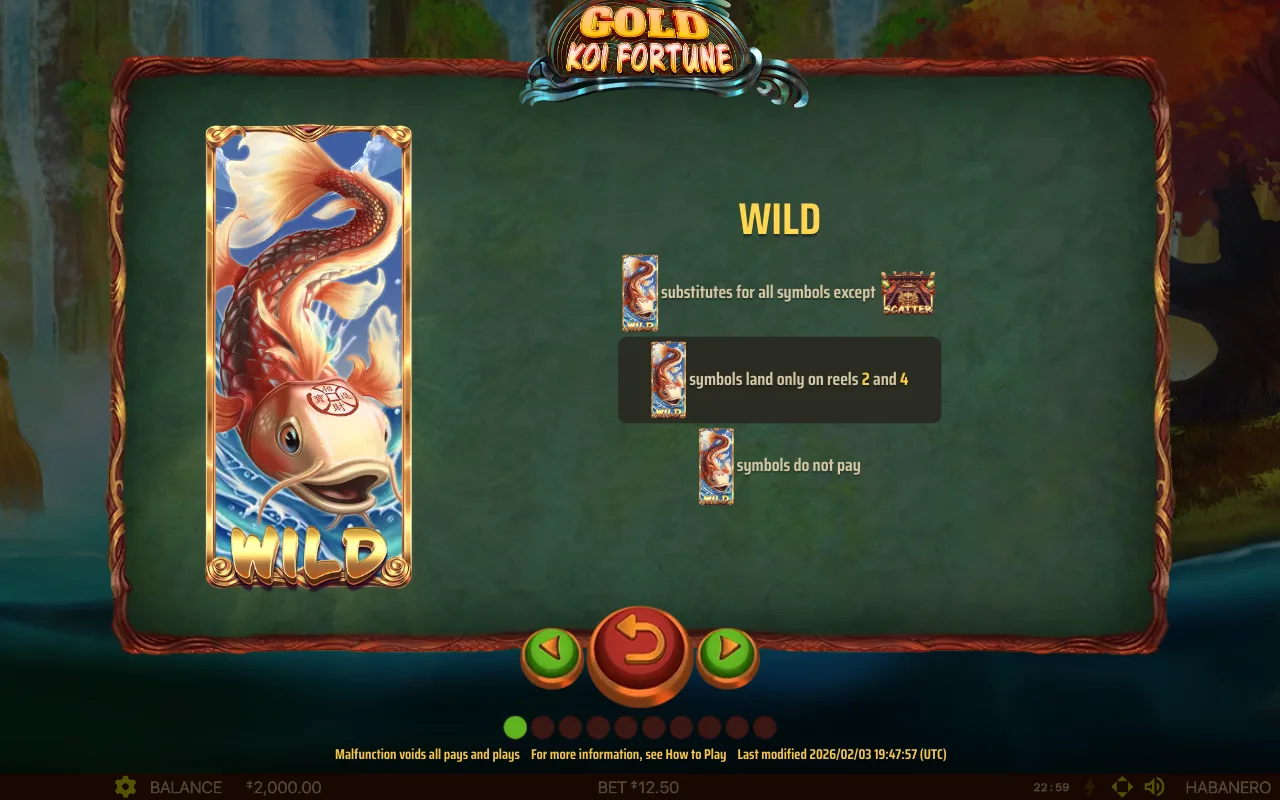 Spielregeln, Seite 3 — Gold Koi Fortune