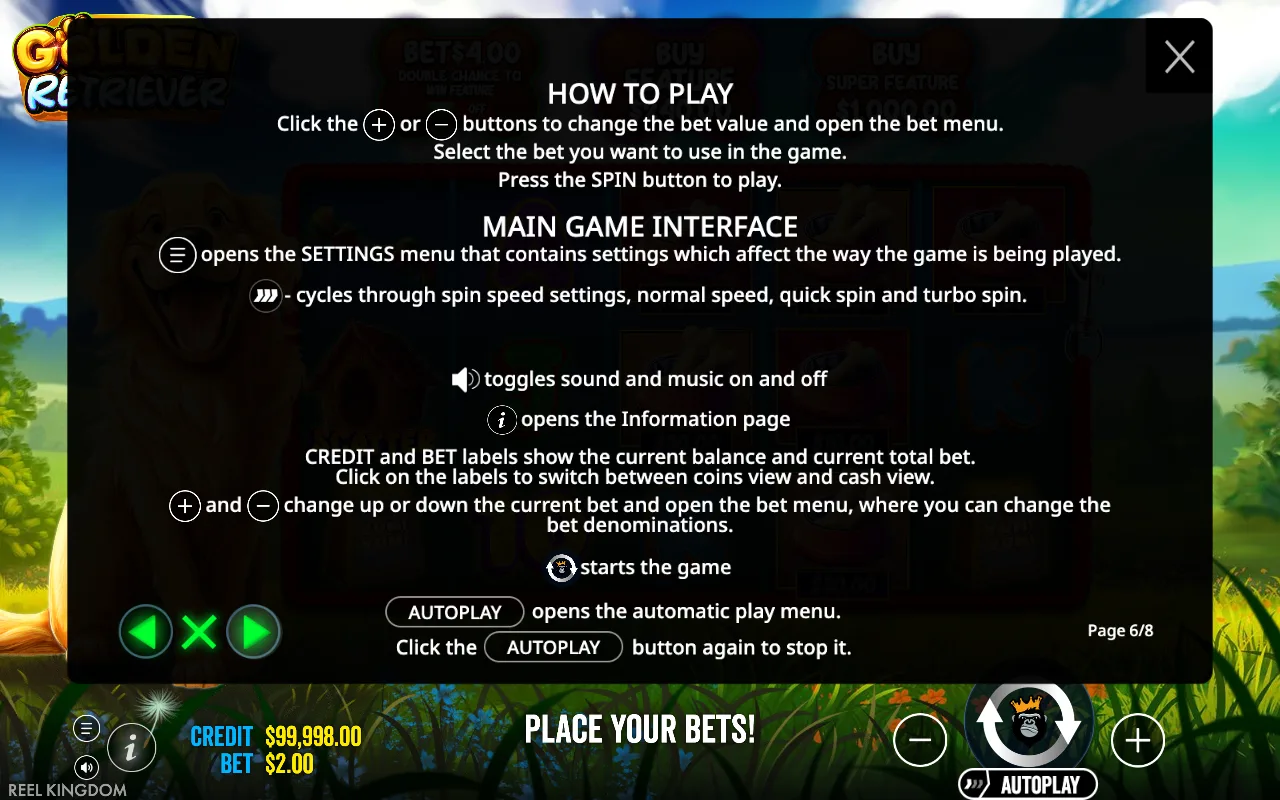 How to play — Golden Retriever