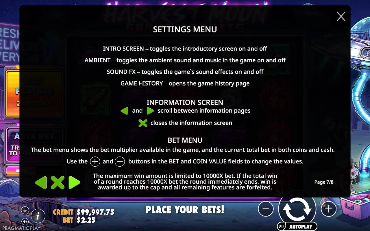 Settings menu — Harvest Moon Grave Profits
