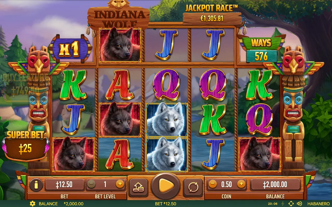 Das Basisspiel — Indiana Wolf
