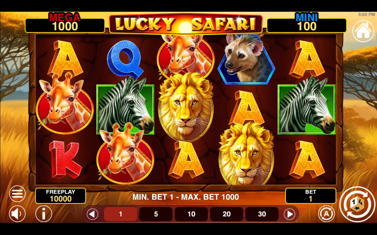 The base game — Lucky Safari Hold And Win