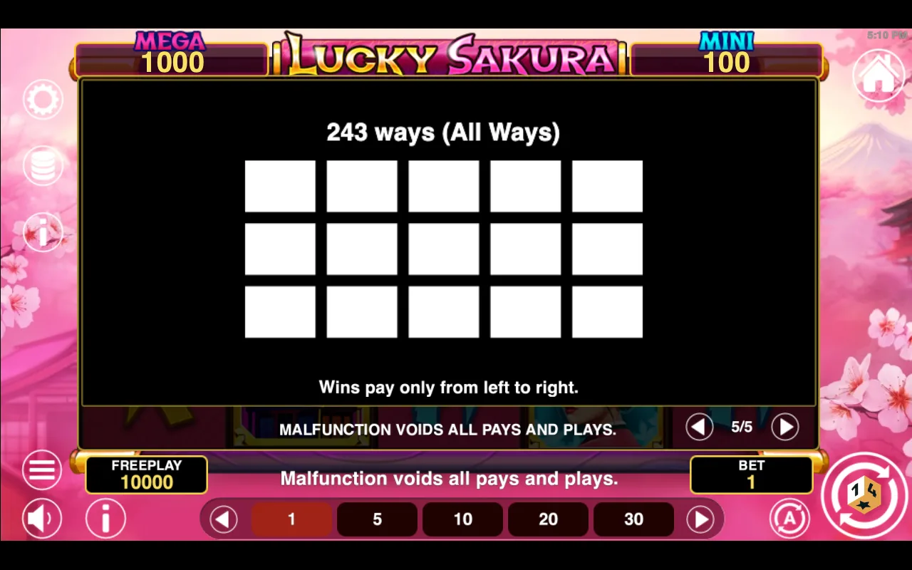 Game rules, page 5 — Lucky Sakura Hold And Win