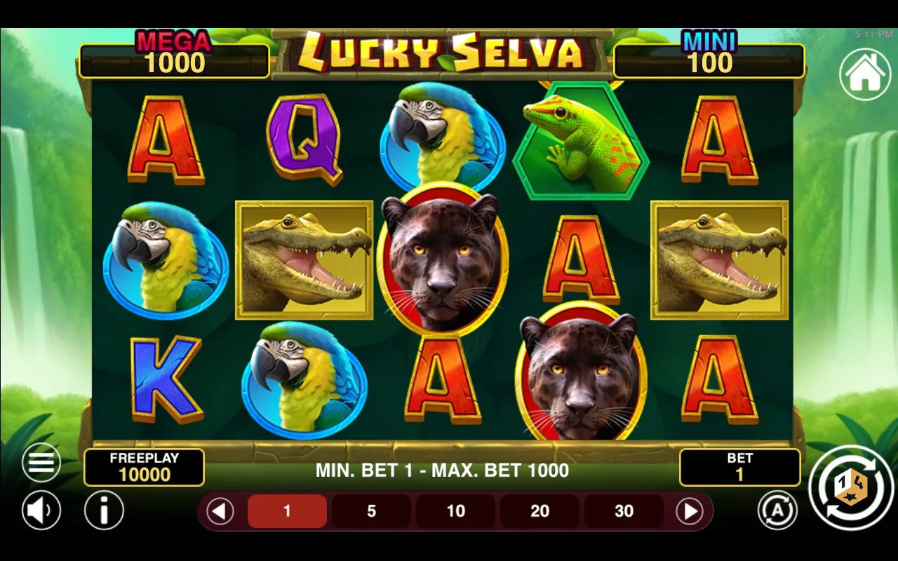The base game — Lucky Selva Hold And Win
