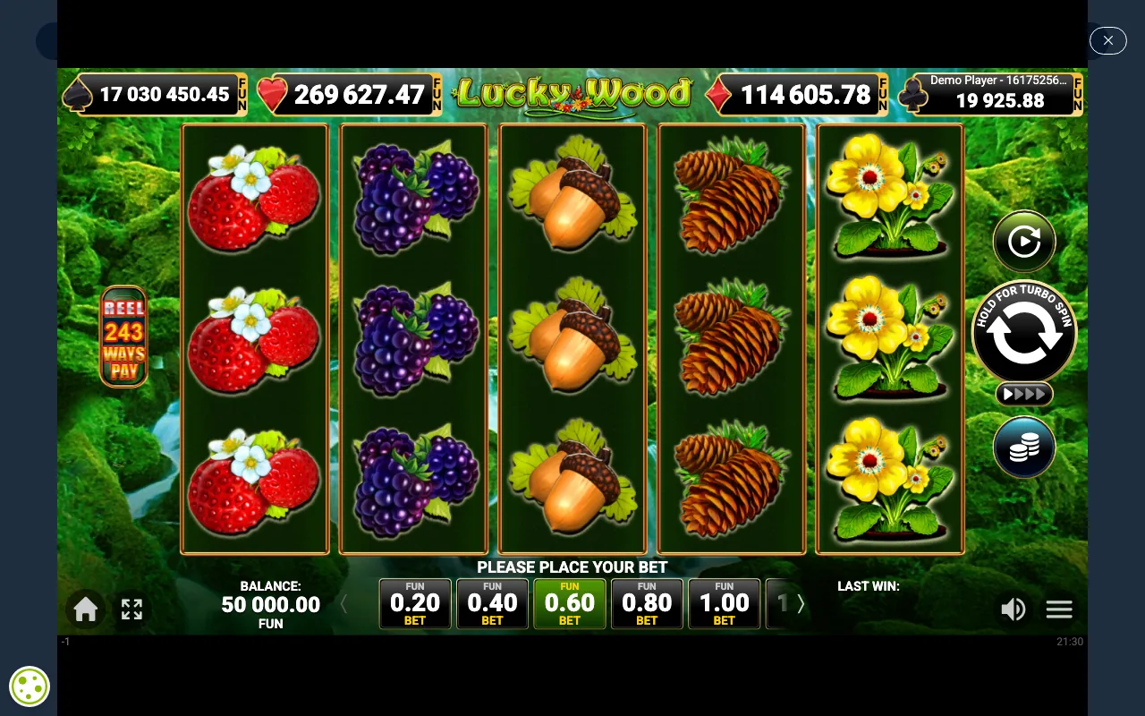 The base game — Lucky Wood
