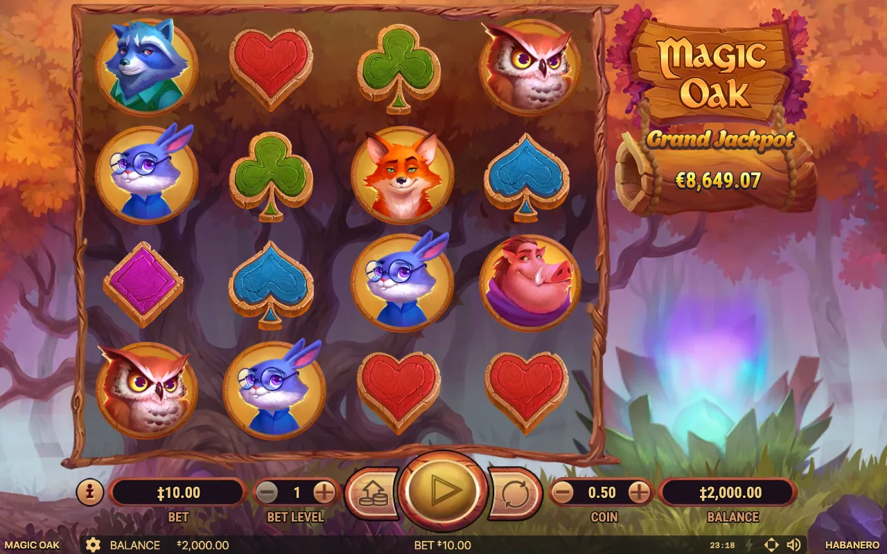 Das Basisspiel — Magic Oak