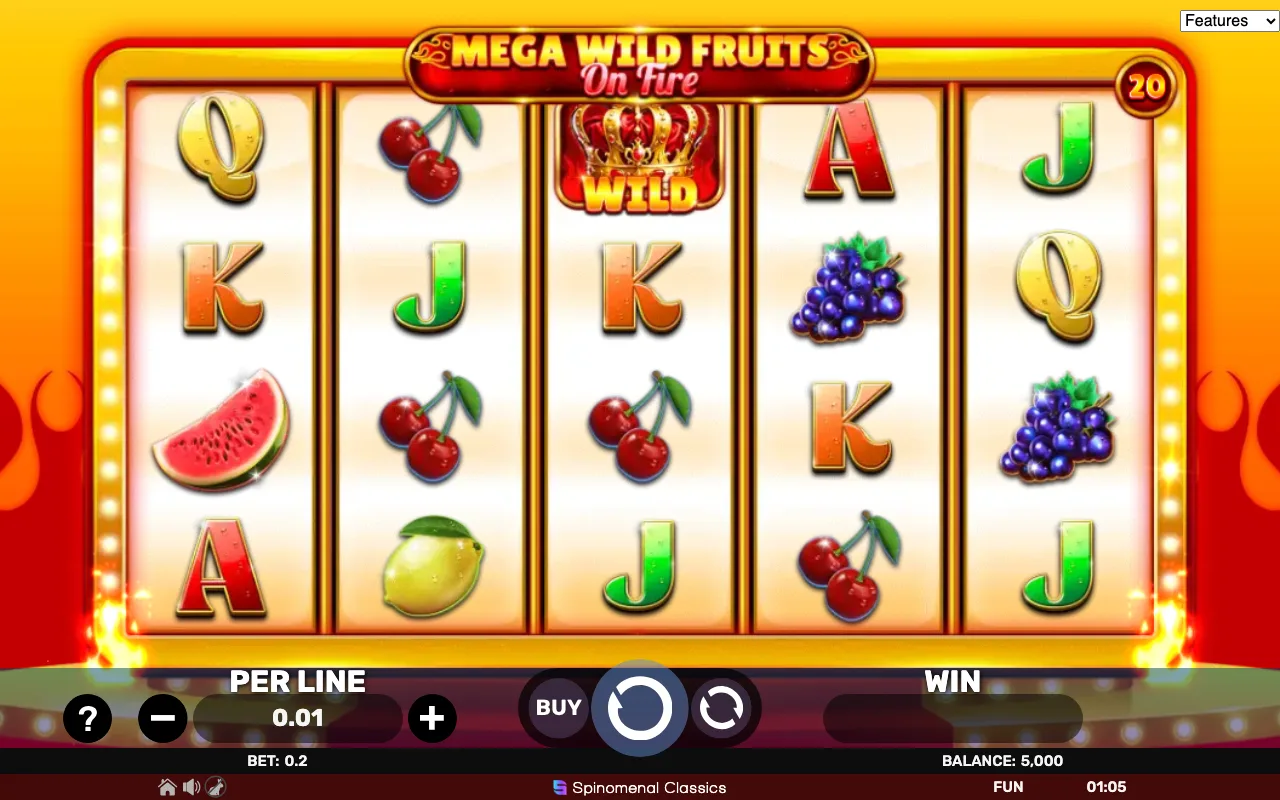 The base game — Mega Wild Fruits on Fire