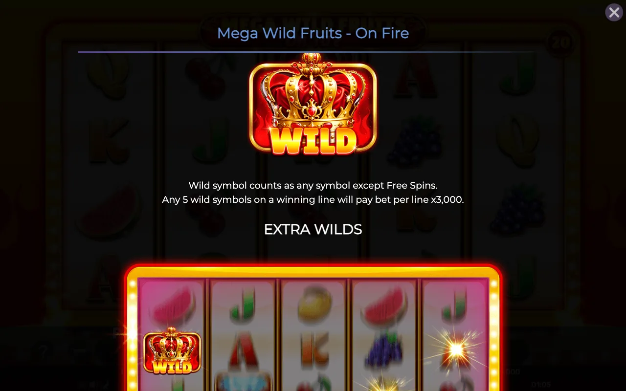 Game rules, page 2 — Mega Wild Fruits on Fire