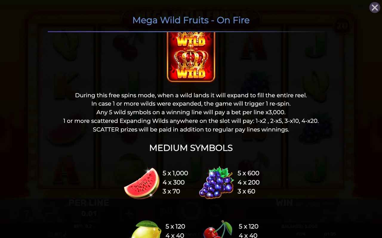 Game rules, page 4 — Mega Wild Fruits on Fire