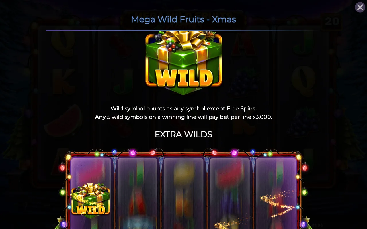 Game rules, page 2 — Mega Wild Fruits Xmas