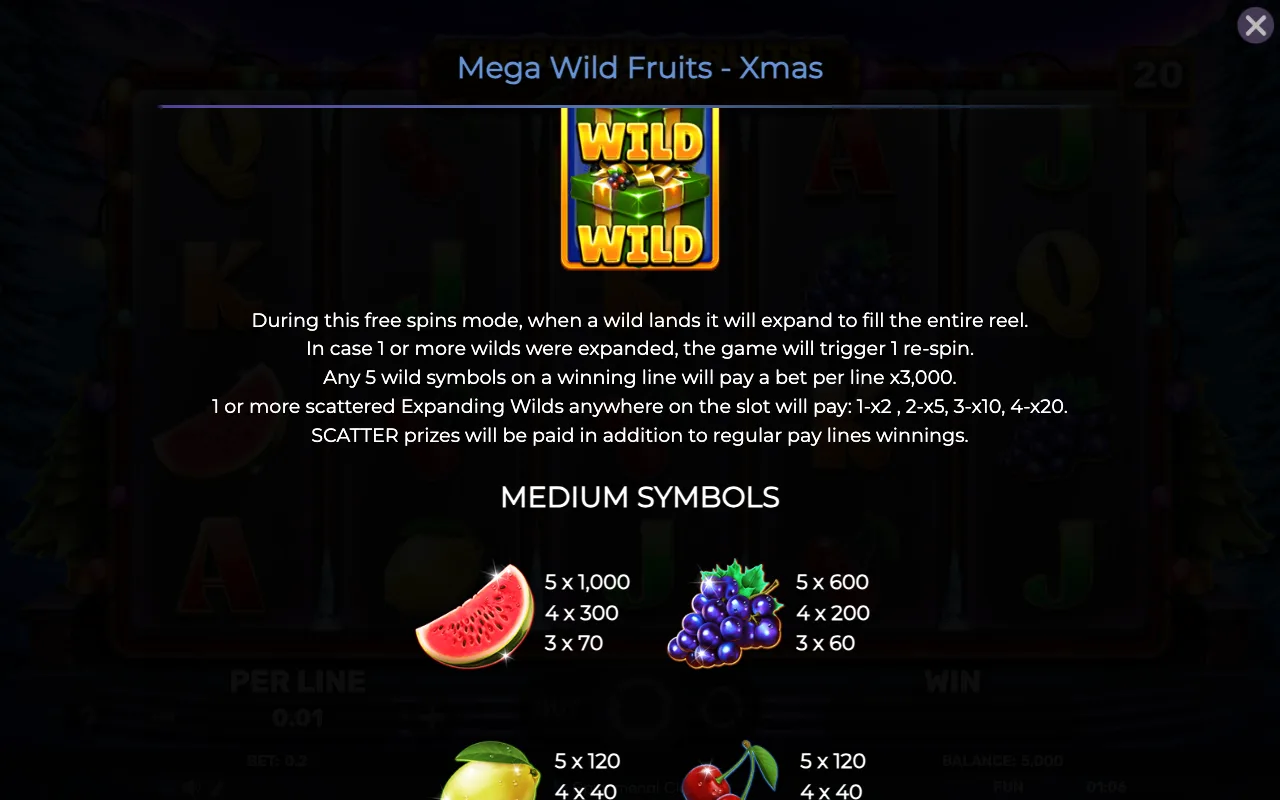 Game rules, page 4 — Mega Wild Fruits Xmas