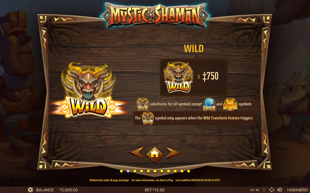 Spielregeln, Seite 4 — Mystic Shaman