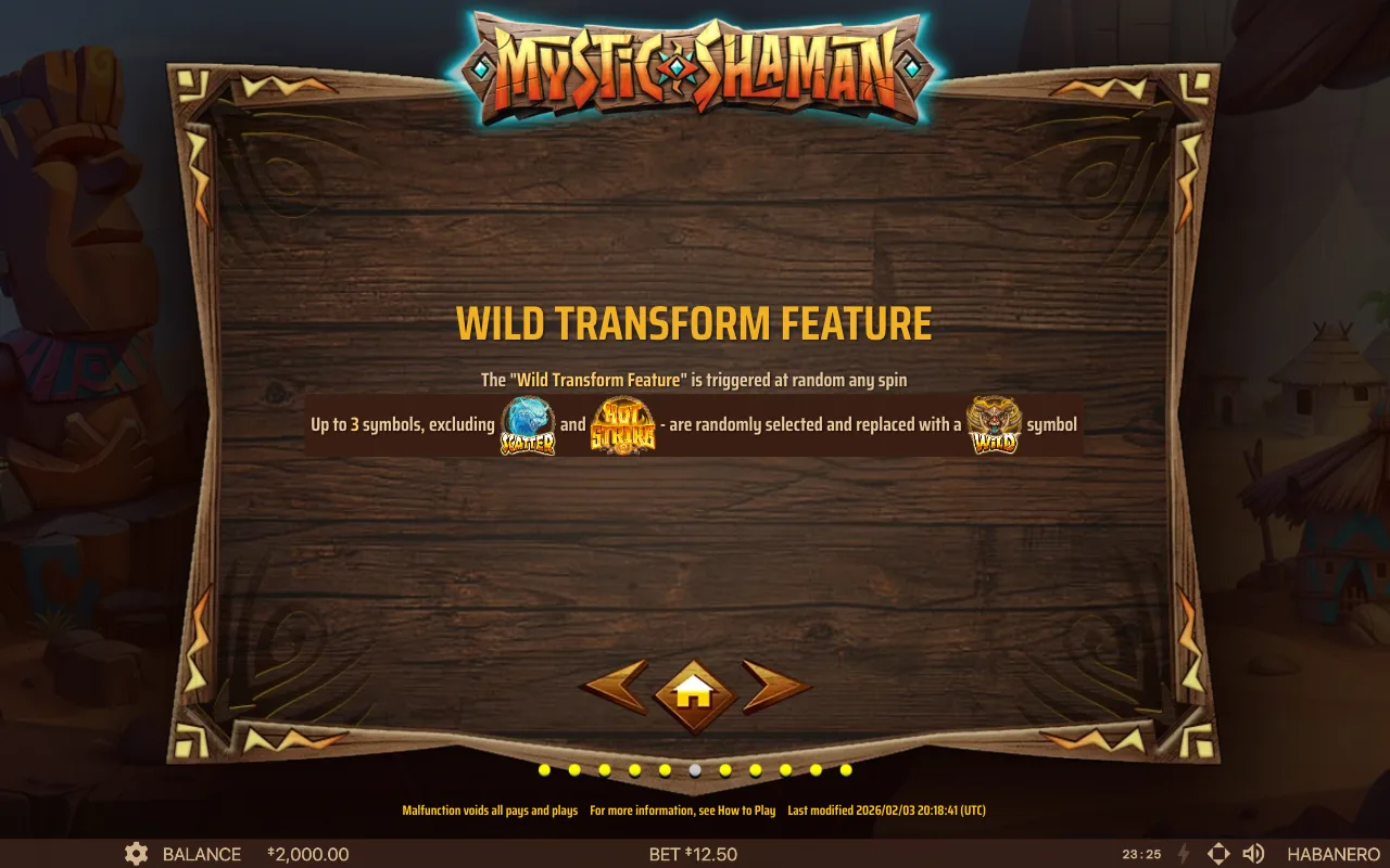 Spielregeln, Seite 8 — Mystic Shaman