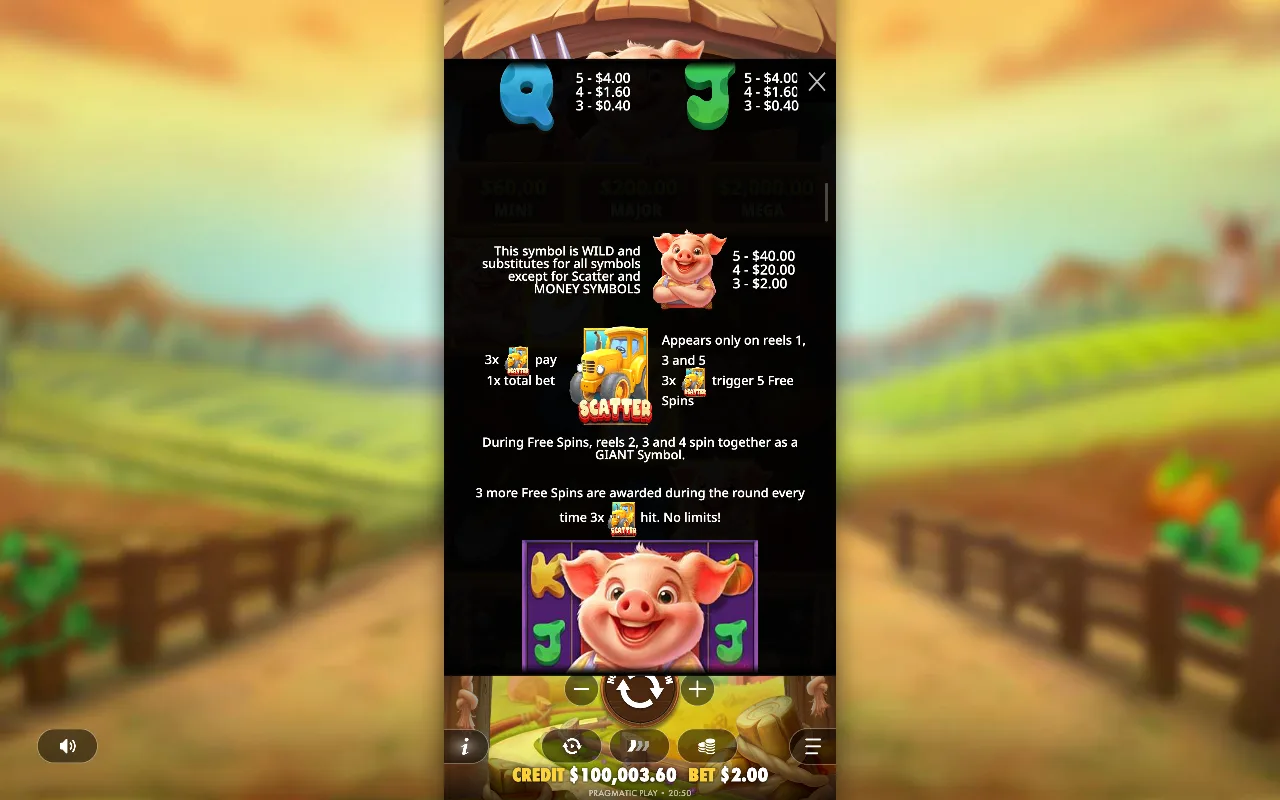 Game rules, page 6 — Pig Farm