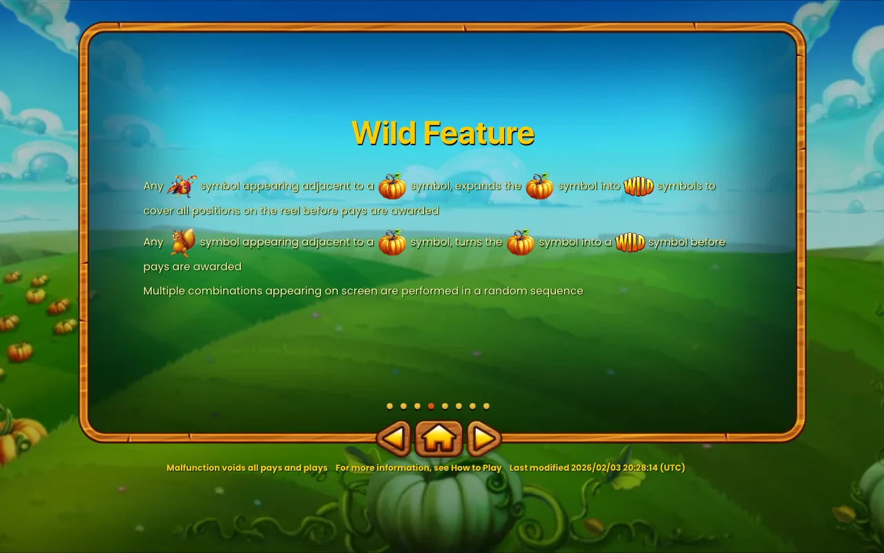 Spielregeln, Seite 5 — Pumpkin Patch