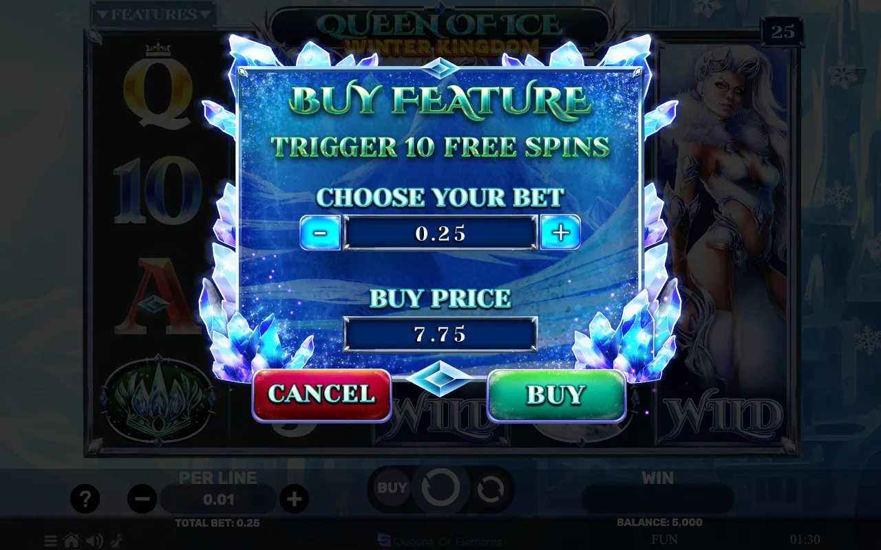 Buying the feature — Queen of Ice Winter Kingdom